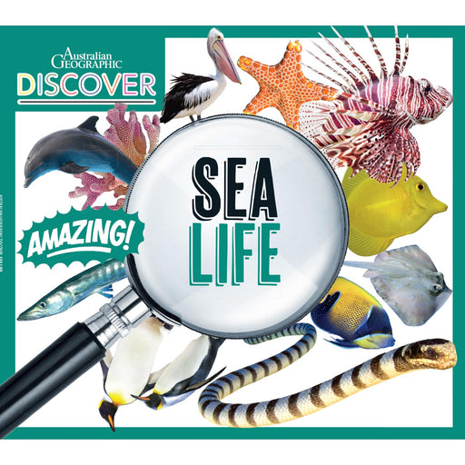 Sea Life book