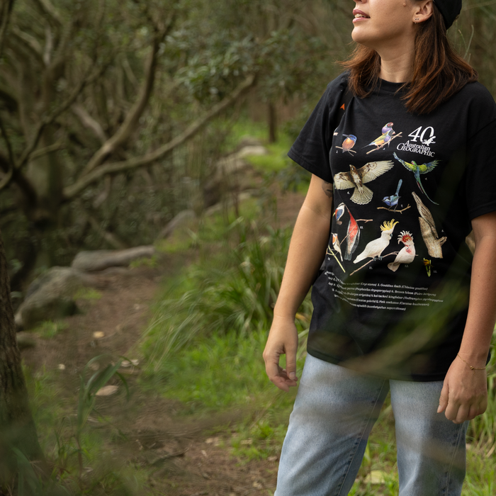 Person wearing a black t-shirt with nature-themed designs in a forest setting