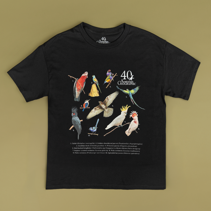 Black t-shirt with colorful bird illustrations and National Geographic logo on a beige background