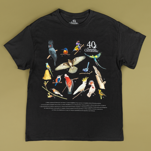 Black t-shirt with colorful bird illustrations and '40th Anniversary Geographic' design on a beige background