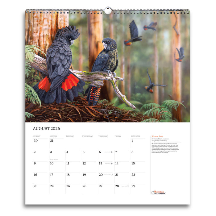 Calendar with a design of two parrots on a branch in a forest, featuring the month of August 2026.