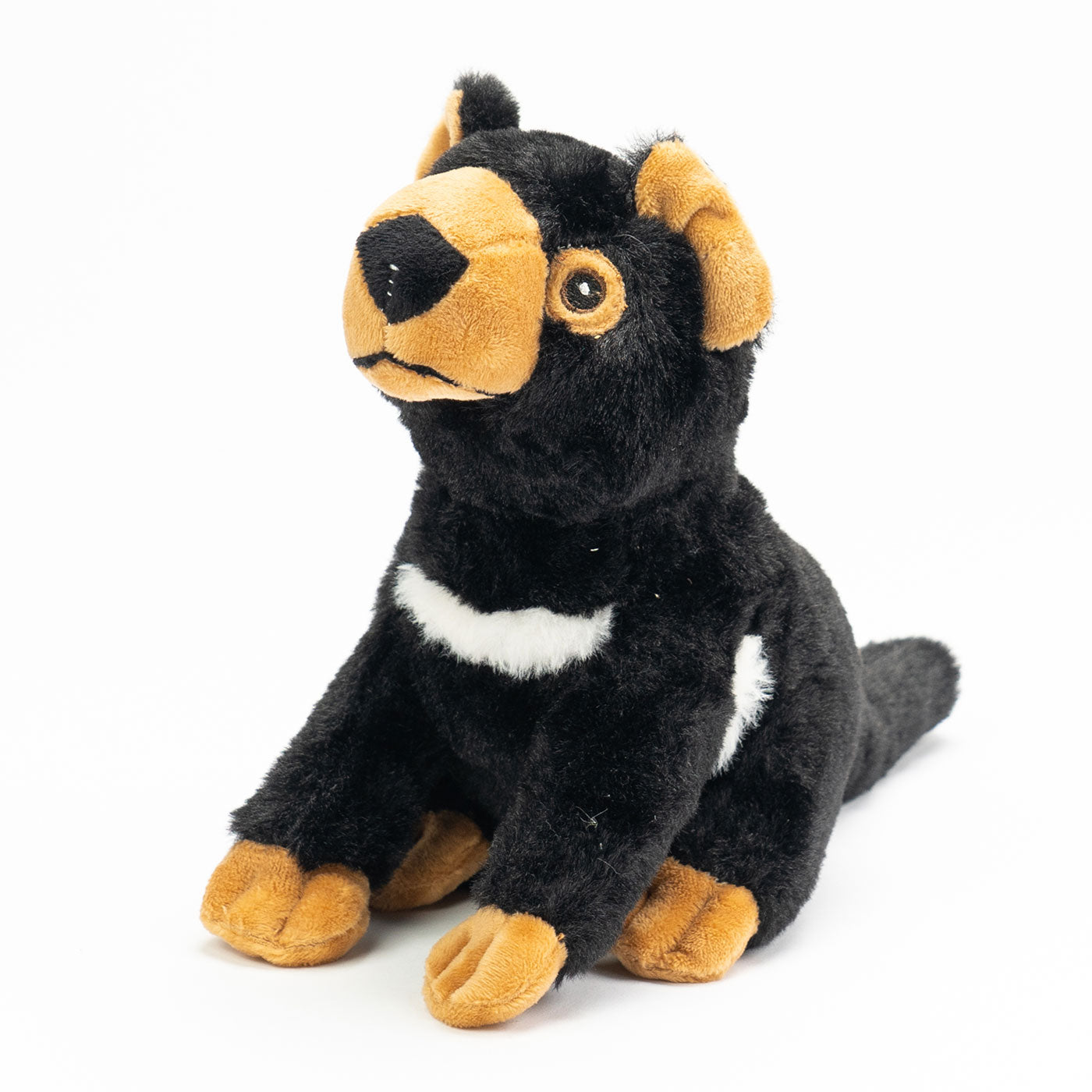 Ripley Tasmanian Devil Plush Toy - 20cm — Australian Geographic