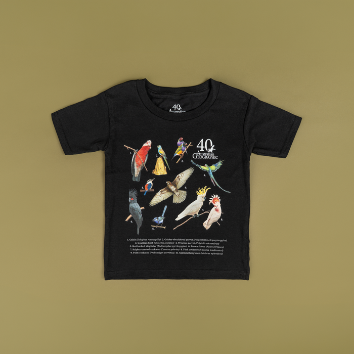 Black t-shirt with colorful parrot illustrations on a beige background