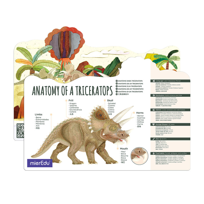 Educational card about the anatomy of a Triceratops with illustrations and text.