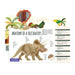 Educational card about the anatomy of a Triceratops with illustrations and text.
