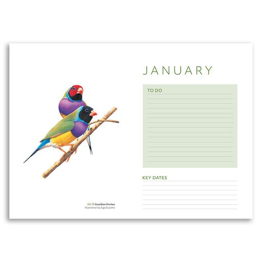Calendar with colorful birds on a branch and a to-do list for January.