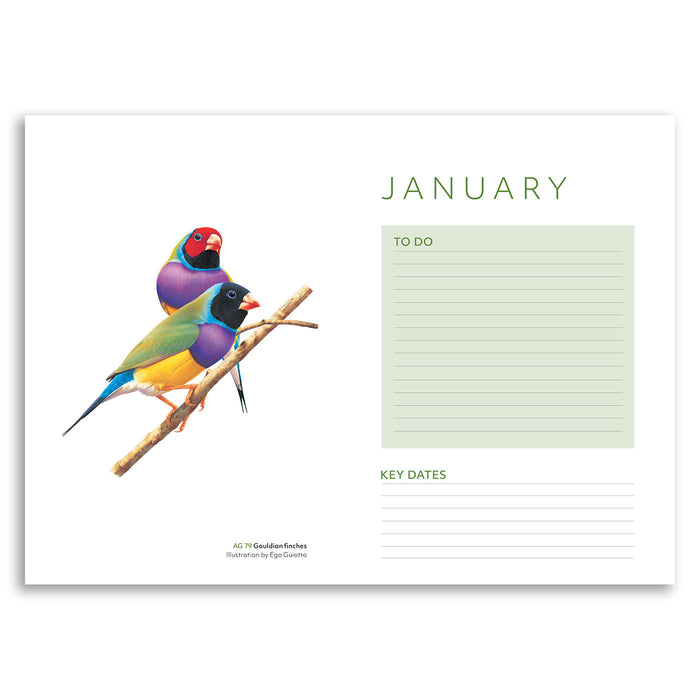 Calendar with colorful birds on a branch and a to-do list for January.