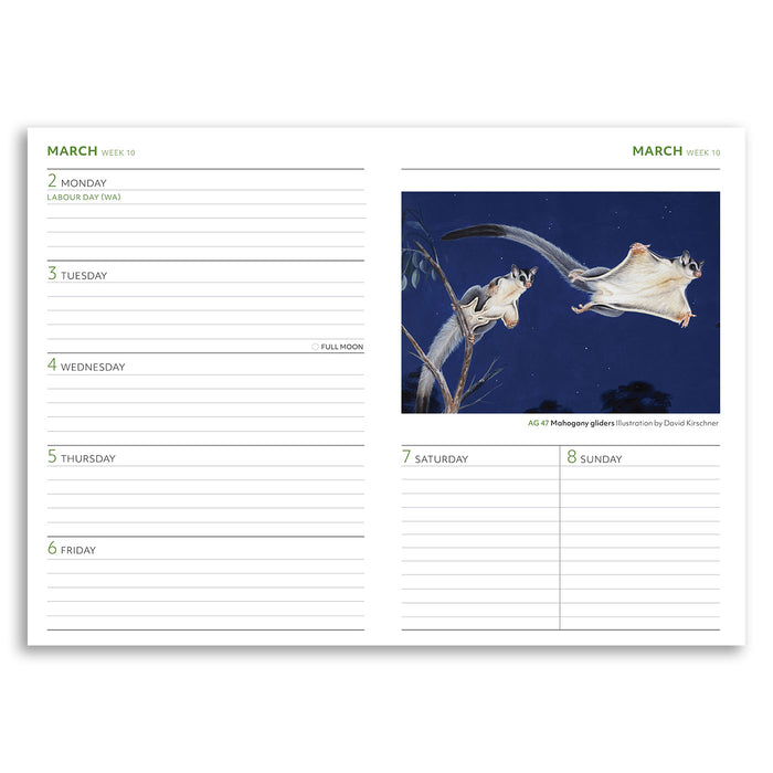 Calendar page with a photograph of two Mothraea gleditsia on a blue background