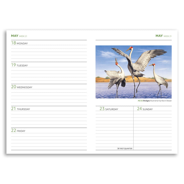 Calendar page with bird illustration and daily planner layout