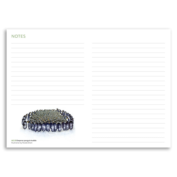 Notepad with a emperor penguin design on a white background