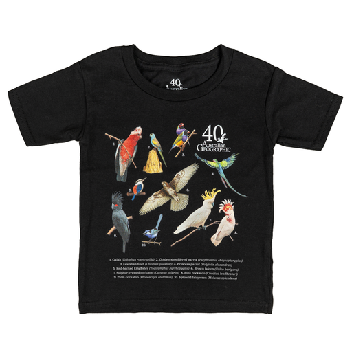 Black t-shirt with colorful bird illustrations and Australian Geographic logo on a white background