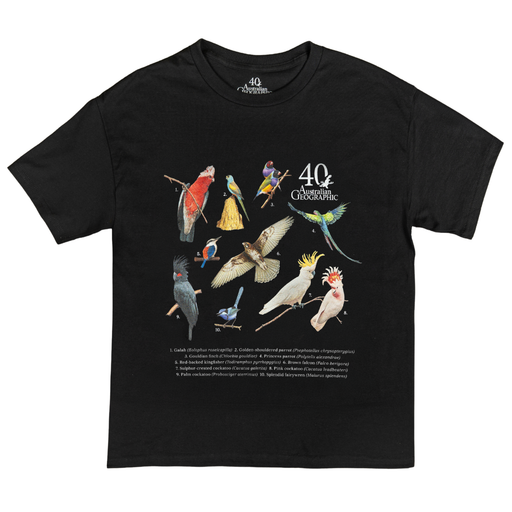 Black t-shirt with colorful bird illustrations on a white background
