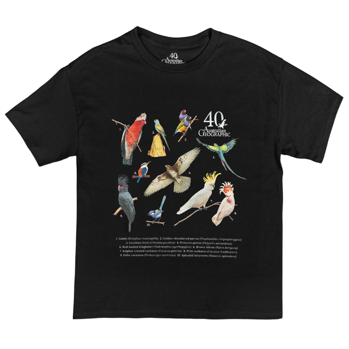 Black t-shirt with colorful bird illustrations on a white background