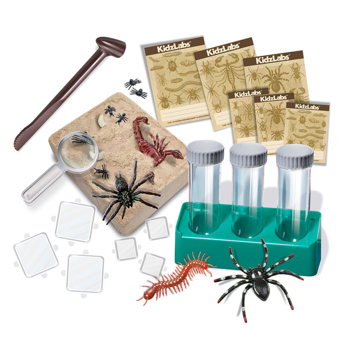 A children's science exploration kit laid out on a white background, including plastic insects, a magnifying glass, labeled sample cards, a wooden pestle, a green specimen holder, and other educational accessories.