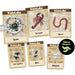Collection of Kidzlabs educational toy packages featuring various small creatures and a magnifying glass.