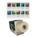 Dinosaur-themed product packaging with images of various dinosaurs on a white background