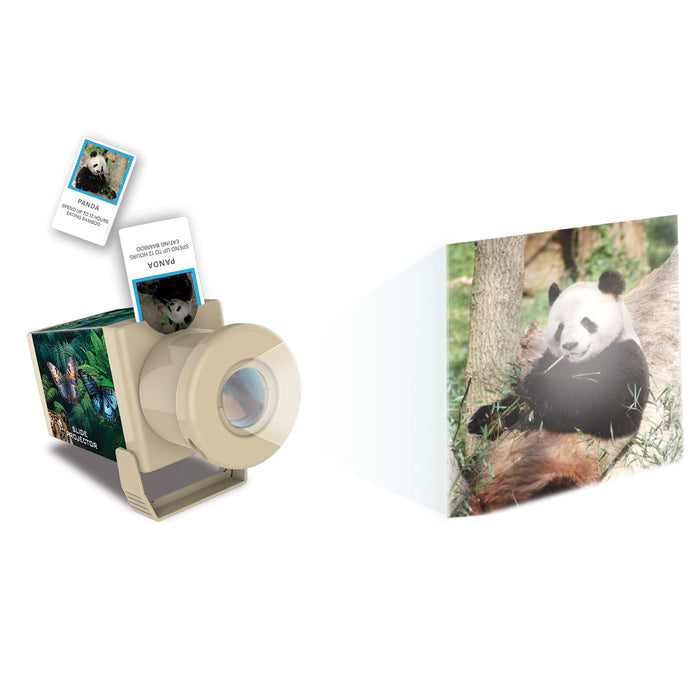 Polaroid-style camera with instant photos of a panda and a card with a panda image.