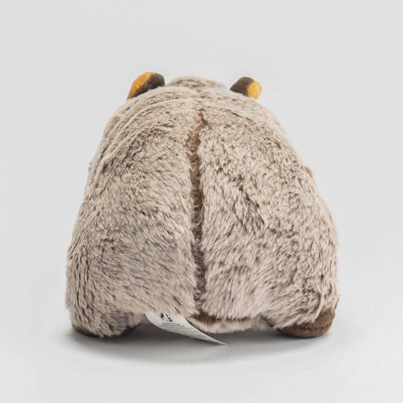 Winton Wombat Plush Toy - 20cm — Australian Geographic