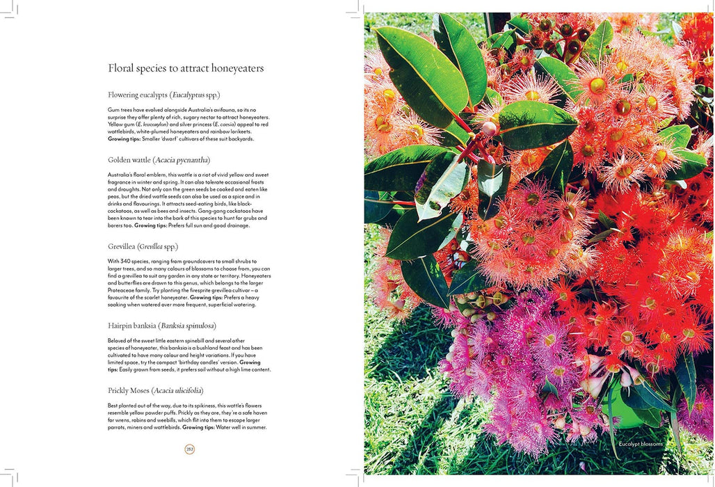 a conscious garden book australian geographic