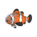 Illustration of a clownfish on a white background