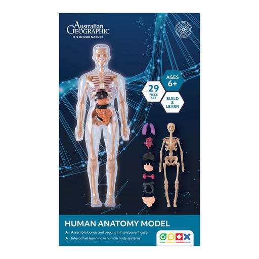 Australian Geographic human anatomy model packaging with a transparent body and skeleton on a blue background.