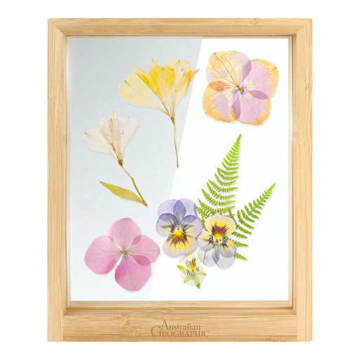 Framed artwork of pressed flowers and leaves with a wooden frame on a white background.