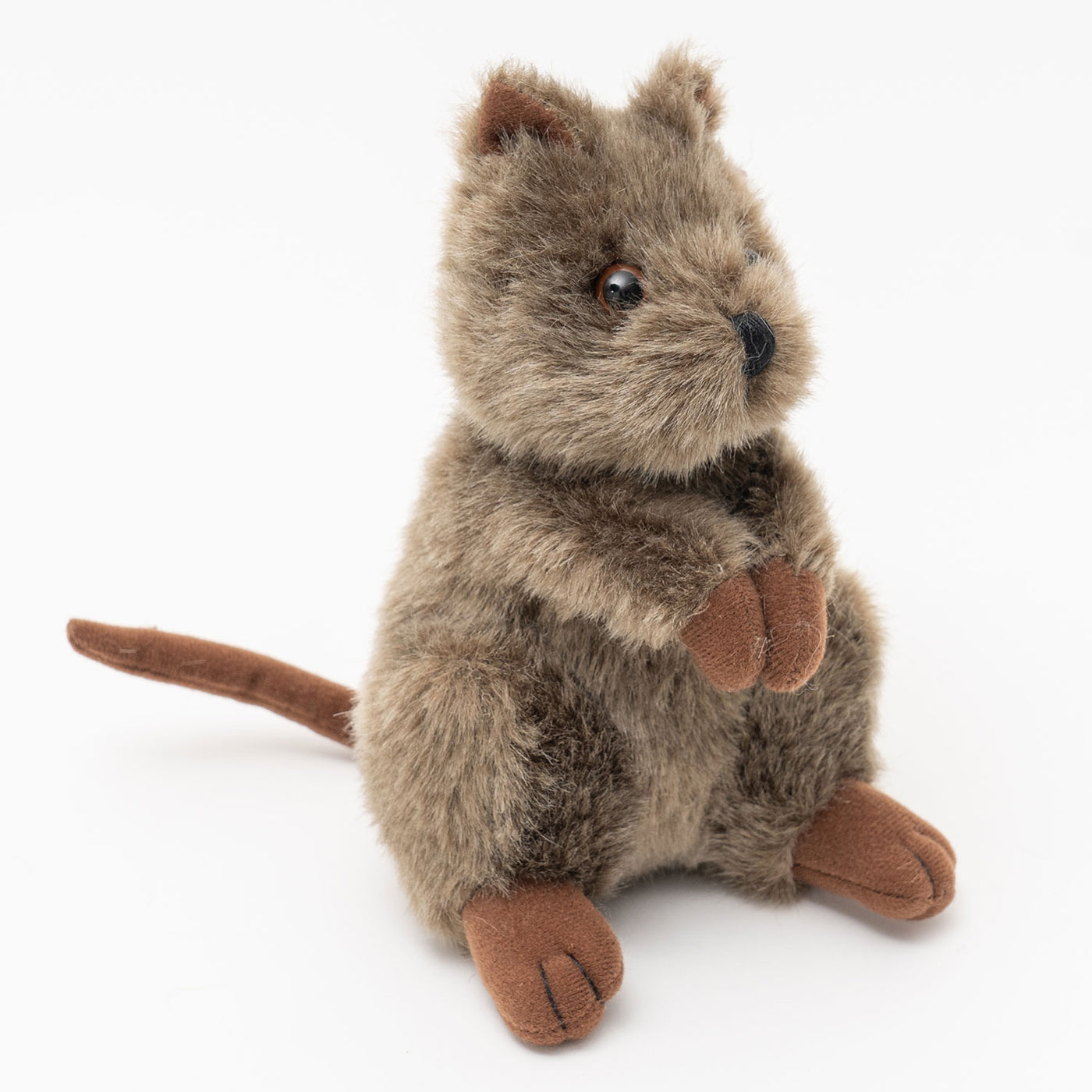 Chuckles The Quokka 16cm Soft Plush Toy Australian Geographic