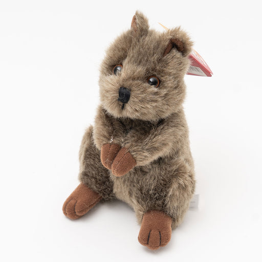 chuckles quokka soft toy