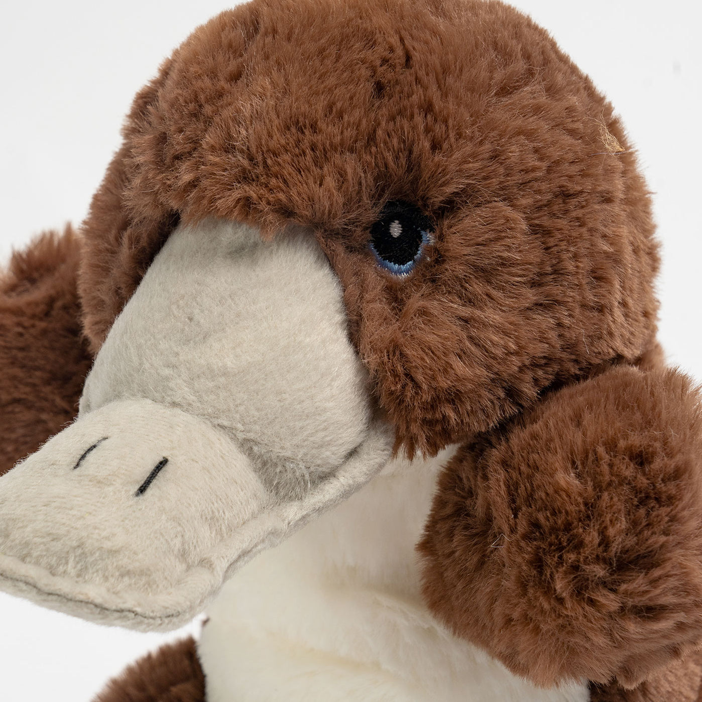 Hansa Puppets — Australian Geographic