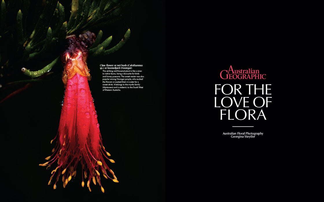 For the Love of Flora Book