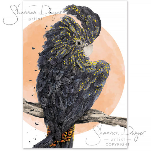 Greeting Cards Australian Geographic Shop greeting-cards-australian-geographic-shop