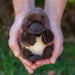 Baby Handfuls Platypus Soft Toy