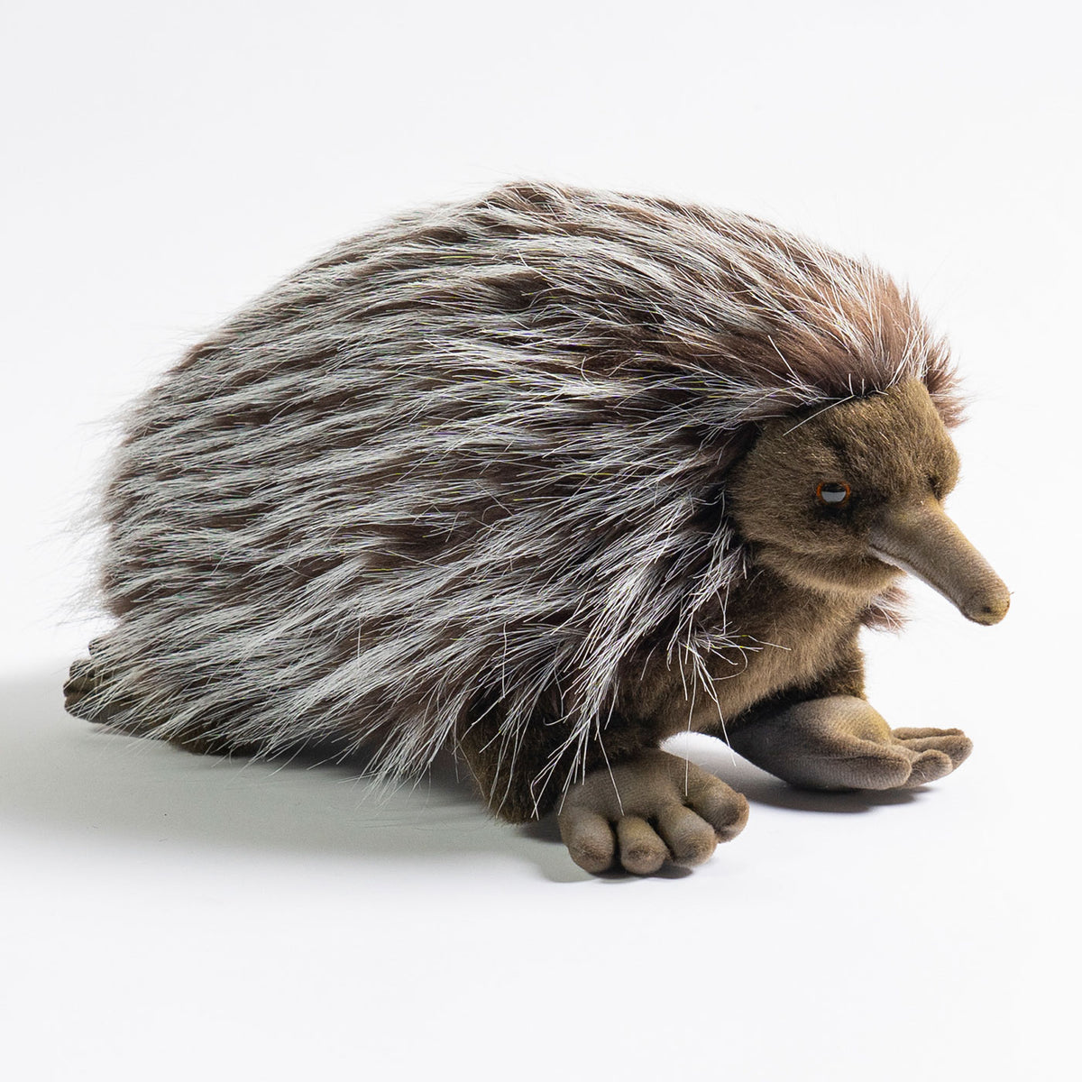 echidna　 Hansa Echidna Soft Plush Toys 28cm | Australian Geographic Shop