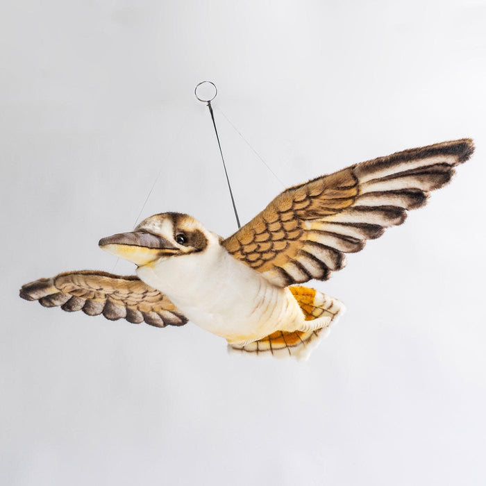 Hansa Kookaburra Flying