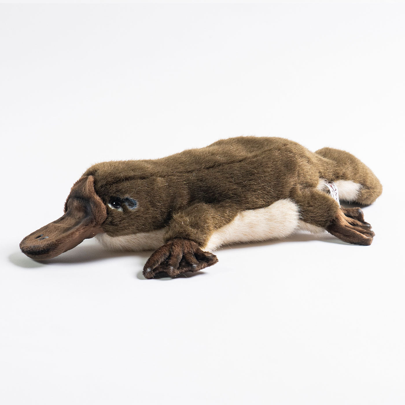 Hansa Platypus Puppet - 49cm - Soft Plush Toy | Australian Geographic