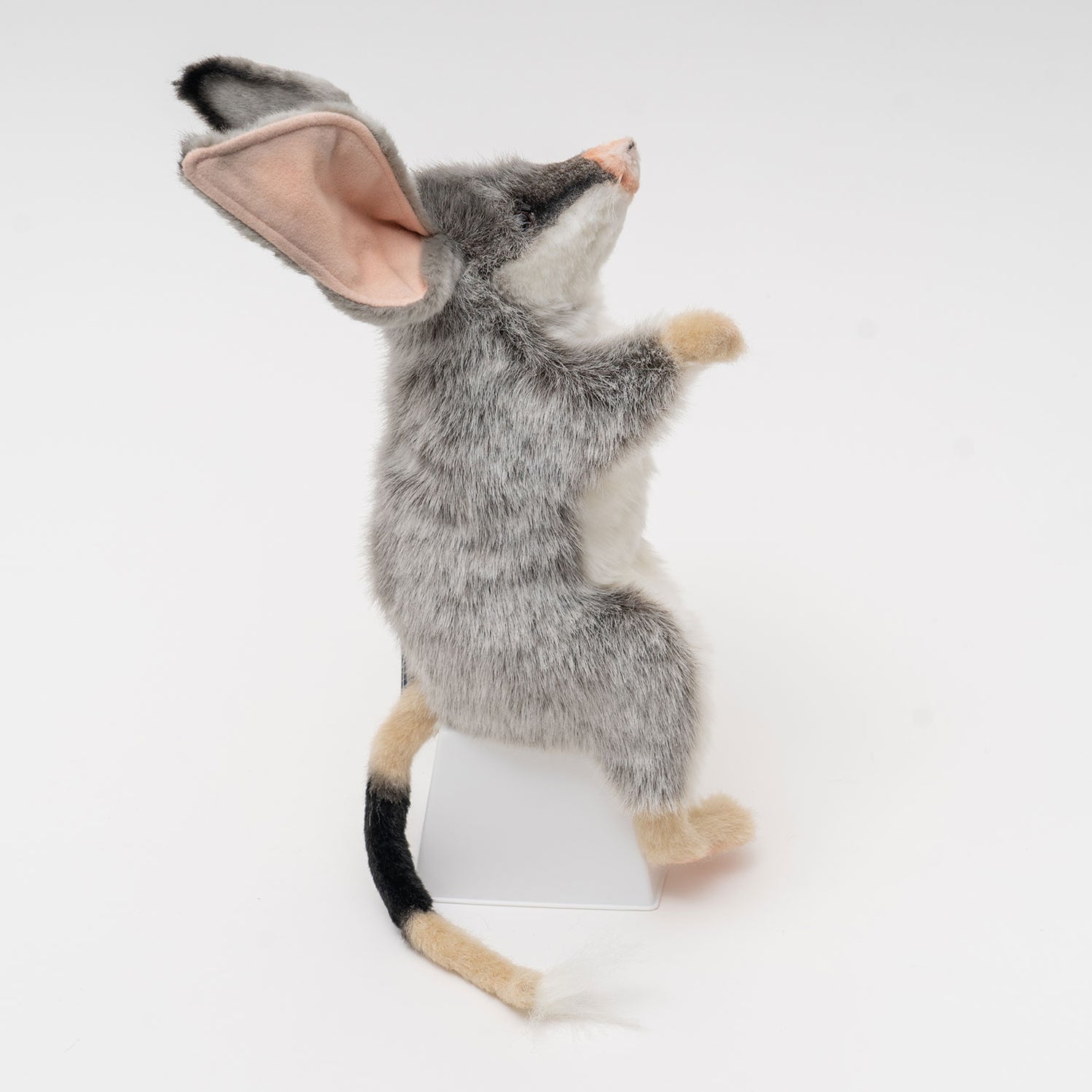 Hansa Puppet Bilby - 35cm - Soft Plush Toy | Australian Geographic