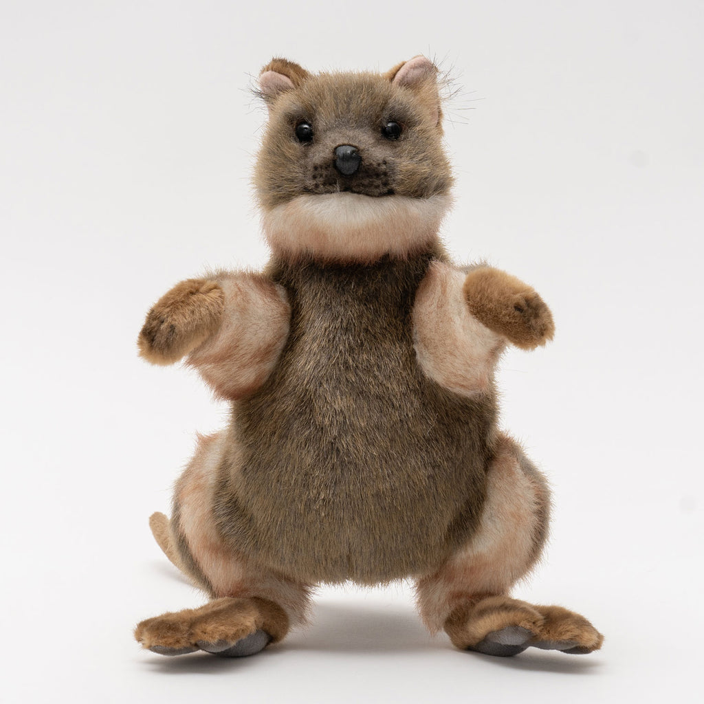 Hansa marionnette quokka 26 cm hauteur, peluche