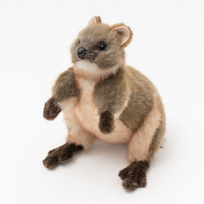 thumbnail image 2 of Super Soft Quokka Plush Toy By Hansa – 22cm Of Cuteness With Free Delivery 2 of 2