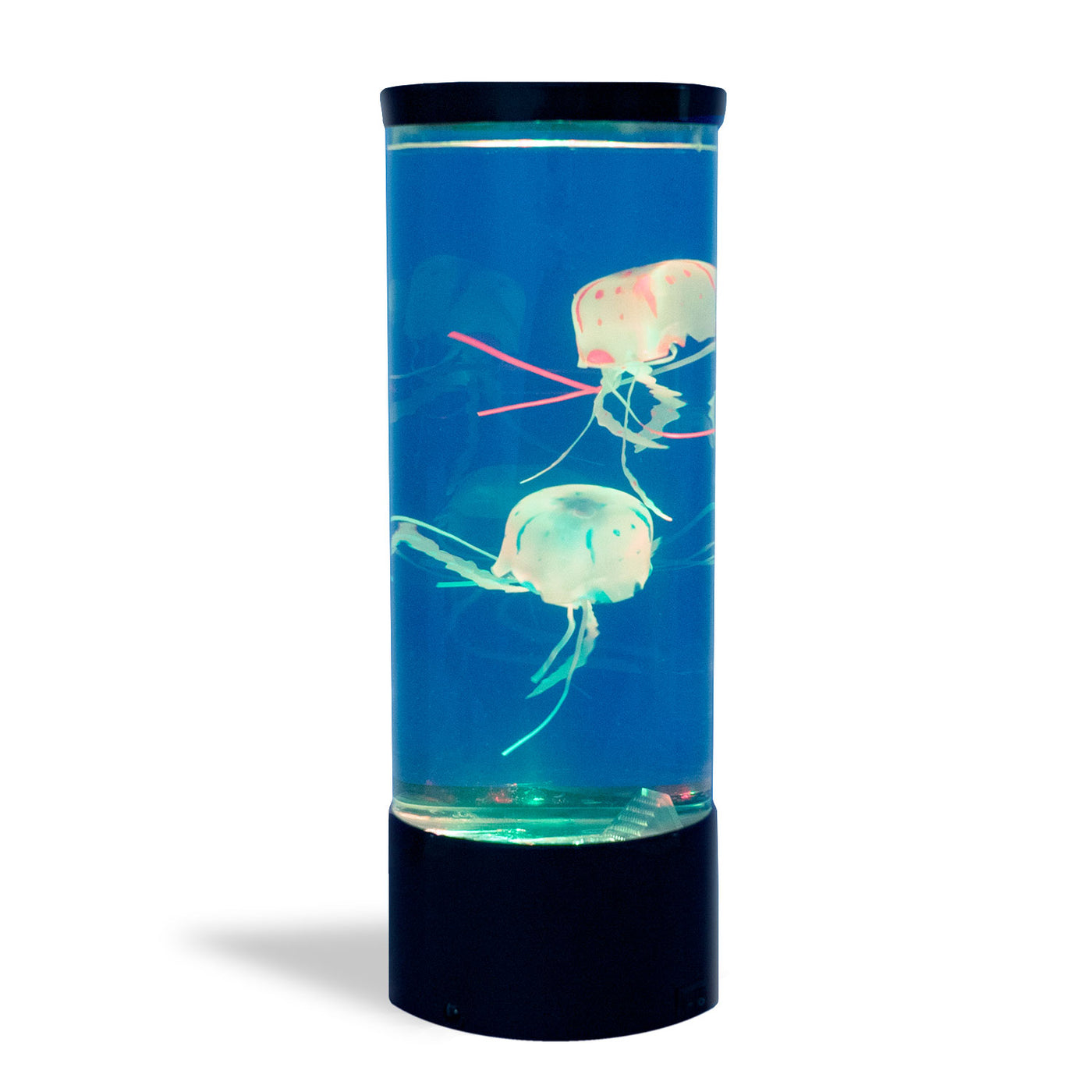 Jellyfish Lamp — Australian Geographic