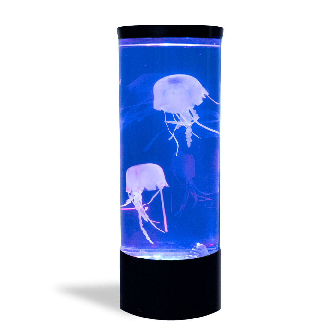 Jellyfish Lamp — Australian Geographic