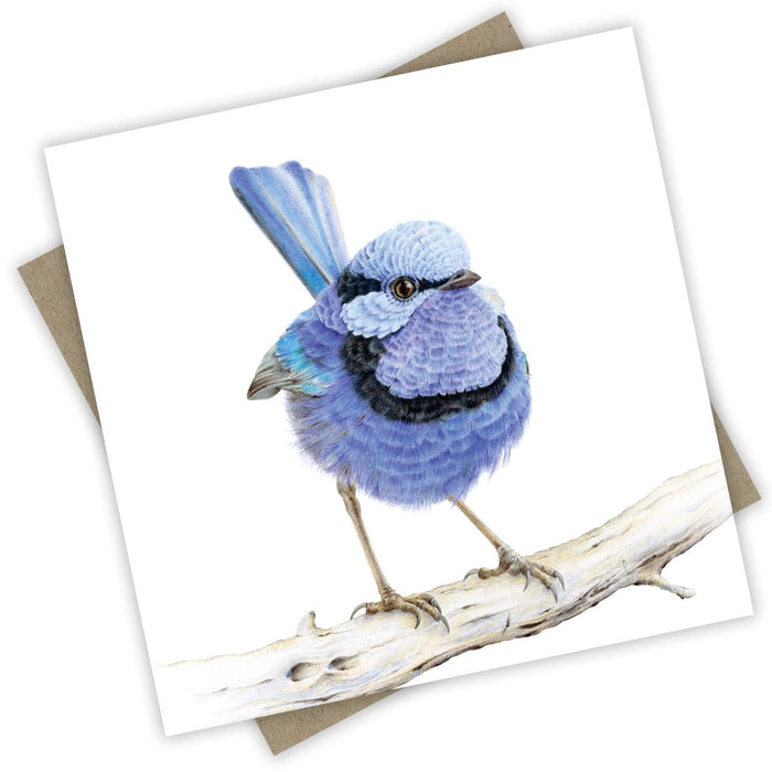 “Waru” the Splendid Fairy Wren Greeting Card from PopcornBlue