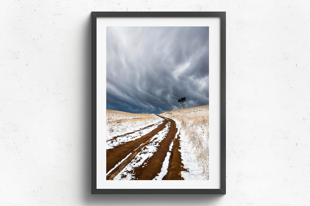Snow Road' by Charles Davis
