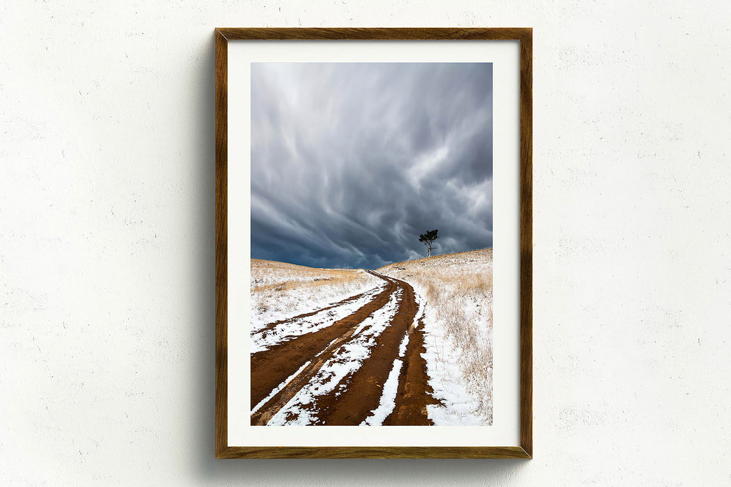 Snow Road' by Charles Davis