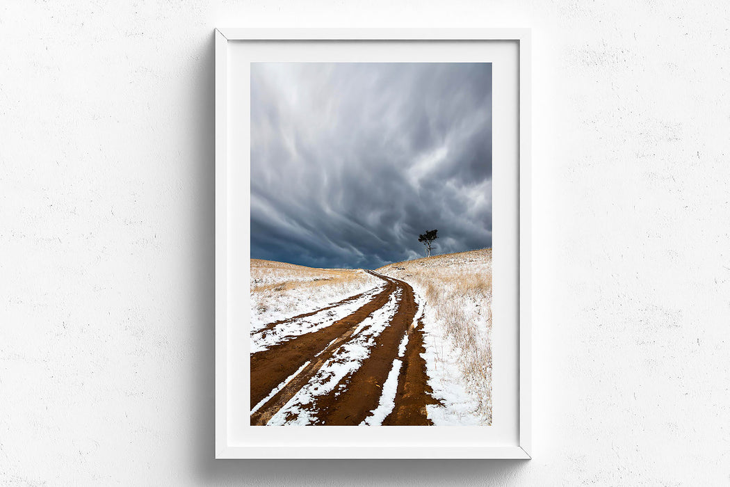 Snow Road' by Charles Davis