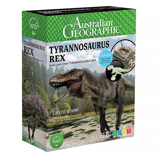  Tyrannosaurus Rex Skeleton