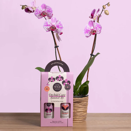 we the wild Orchid Care Essential Kit