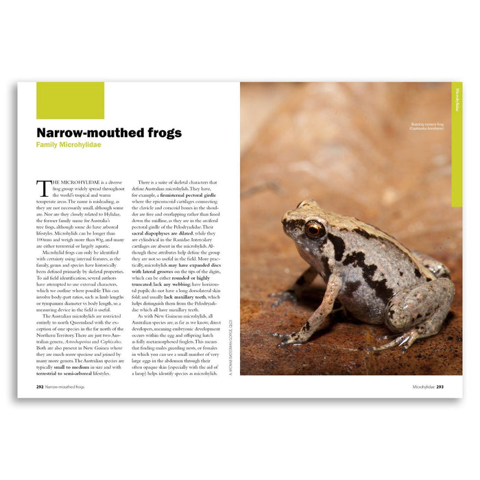 Complete Guide to Frogs of Australia 2