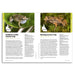 Complete Guide to Frogs of Australia 4