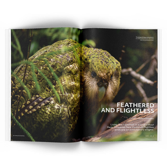 Open magazine spread featuring a New Zealand kakapo in a natural setting.