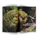Open magazine spread featuring a New Zealand kakapo in a natural setting.